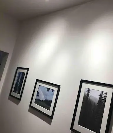 Specious Modern Sofie