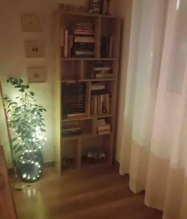 Specious Modern Sofie