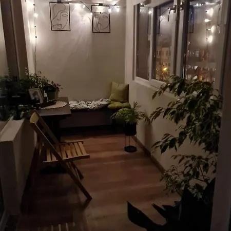 Specious Modern Sofia