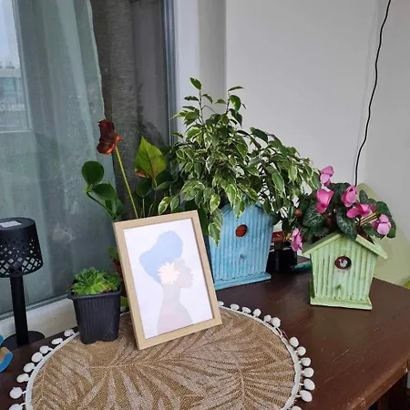 Apartmán Specious Modern Sofie