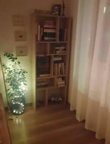 Specious Modern София