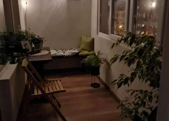 Specious Modern Sofia